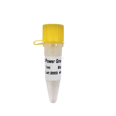 El poder QPCR verde mezcla la mezcla en tiempo real baja P2101a P2102a de la polimerización en cadena de ROX+