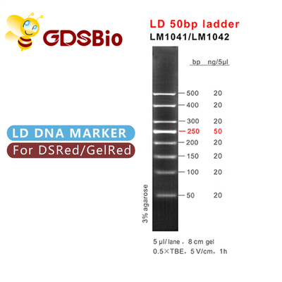 Escalera del marcador de la electroforesis del gel de LM1041 GDSBio LD 50bp