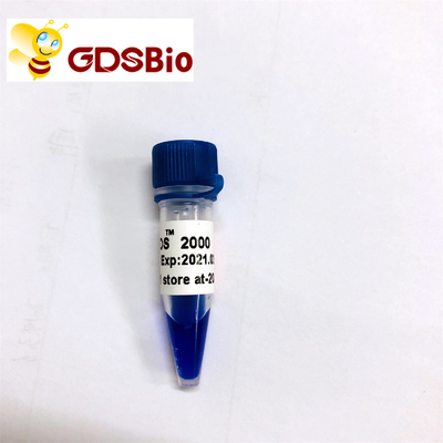 Electroforesis 2000 del gel del marcador de la DNA del LD DS los reactivo de la pureza elevada 60 preparaciones