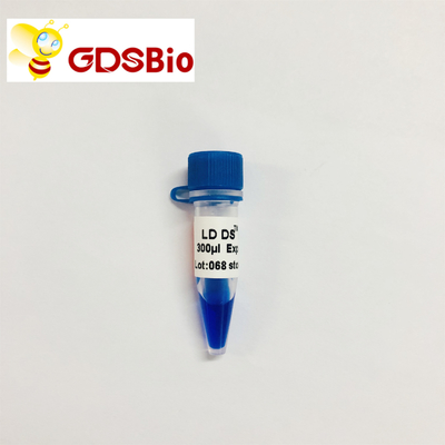 Aspecto azul de la electroforesis del marcador de la DNA de GDSBio LD DS 5000