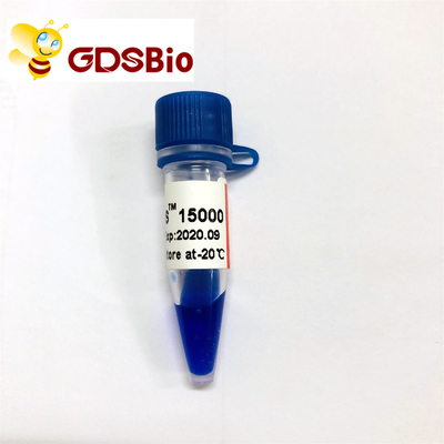 Escalera del marcador de la DNA del LD DS 15000bp 15kb LM1161 (50 preparaciones) /LM1162 (50 preps×5)