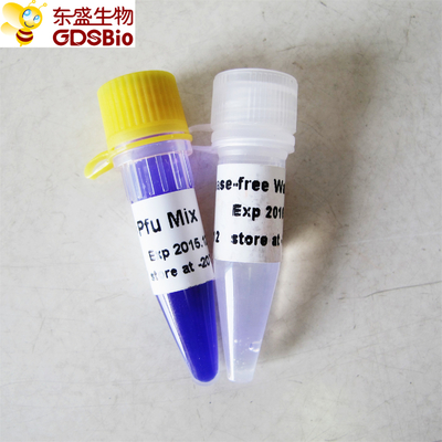 Almacenador intermediario azul principal P2052 de la mezcla P2051 el 1m de la polimerización en cadena de la mezcla de Pfu del Hotstart