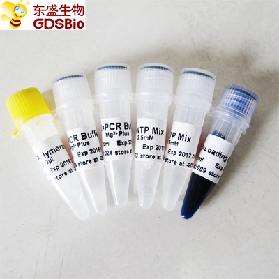 Polimerasa de DNA de alta calidad de GDSBio Taq P1014 1000U