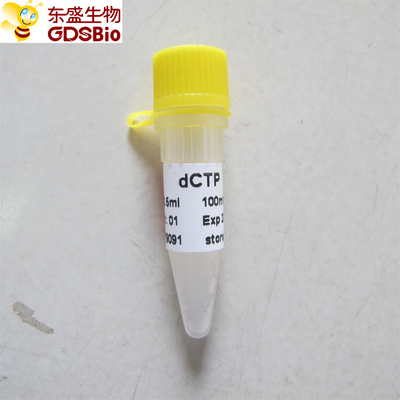 dCTP #P9091 1 ml de PCR qPCR