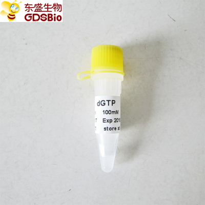 dGTP #P9101 1 ml de PCR y qPCR