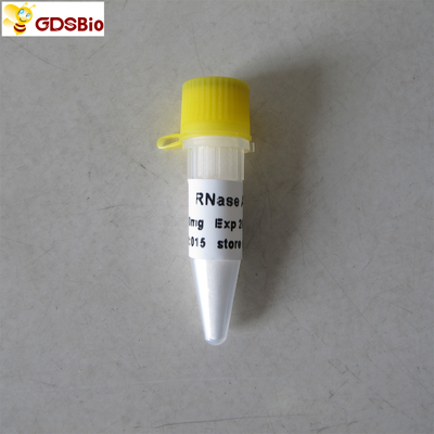 ARNasa de diagnóstico in vitro de los productos del magnesio N9046 100 un polvo