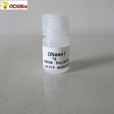 ADNasa pulverizo productos de diagnóstico ines vitro de N9066 1g