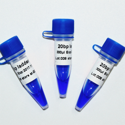 aspecto azul de GDSBio de la electroforesis del marcador de la DNA de la escalera 20bp