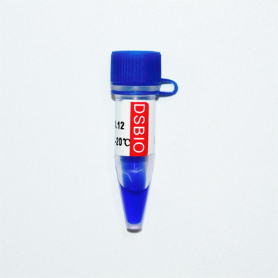Aspecto azul de la electroforesis del gel del marcador de la DNA del marcador 3 de GDSBio