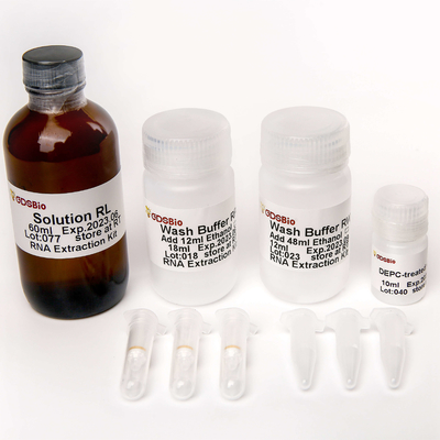 Preparaciones generales del equipo R1051 50 de la extracción del ARN