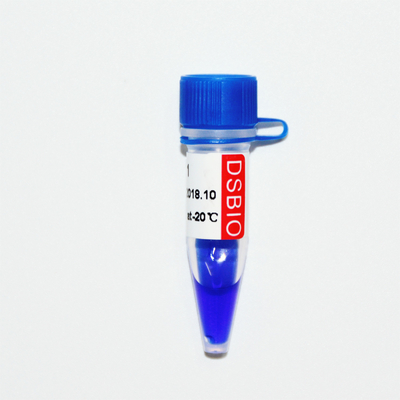 Aspecto azul de la electroforesis 400bp 50ug del marcador de la DNA del marcador 1