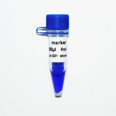 Aspecto azul de la electroforesis 400bp 50ug del marcador de la DNA del marcador 1