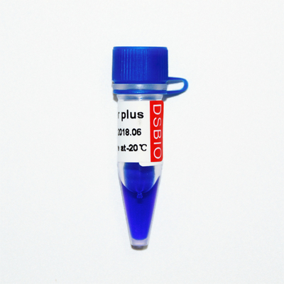 Electroforesis azul 50ug de la escalera de la DNA del aspecto 50bp