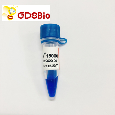 Electroforesis del marcador de la DNA del DS LD 15000bp 15kb 50 preparaciones
