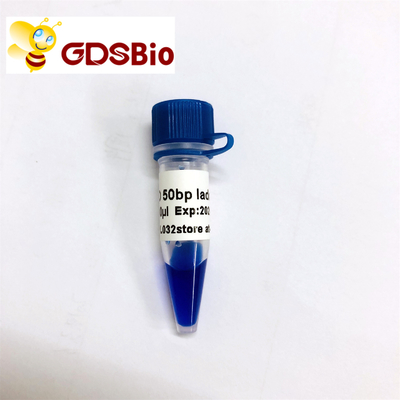 escalera GDSBio del marcador de la electroforesis del gel de la DNA 50bp