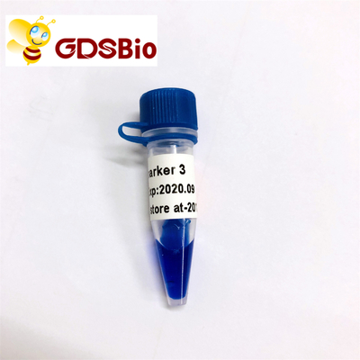 Electroforesis del marcador de la DNA del marcador 3 de GDSBio LD 60 preparaciones