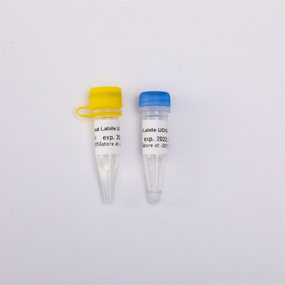 Biología molecular de la enzima anti lábil al calor de la contaminación UDG para QPCR R5001 1 U/μL