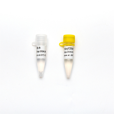 Más múltiplex directo de la mezcla del amo el reactivo de la punta de prueba QPCR de la DNA Polymeras de Taq del Hotstart 2× con la enzima de UDG