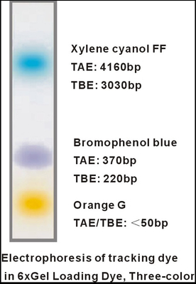 EDTA tricolor cargado 1mlx5 del almacenador intermediario de la electroforesis de la DNA del tinte del gel 6×
